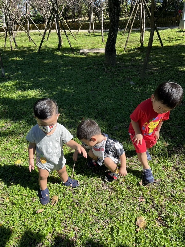 羅保母